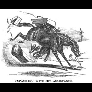 Bags, purses and accessories.